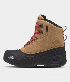 Botte Hiver The North Face Chilkat V Dentelle Imperméables Garcon Marron | PARIS GOSNW