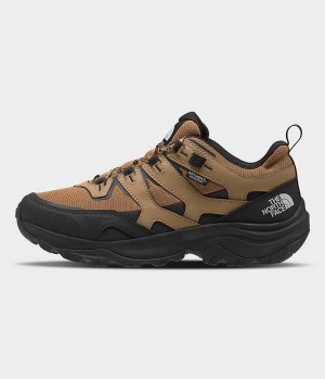 Chaussure de Randonnée The North Face Hedgehog 3 Imperméables Homme Marron Noir | PARIS GXDPF