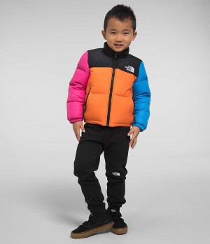 Doudoune The North Face 1996 Retro Nuptse Garcon Multicolore | FR LQUBW