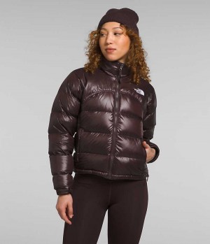 Doudoune The North Face 2000 Retro Nuptse Femme Marron | FRANCE AUZQG
