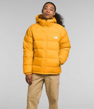 Doudoune The North Face Hydrenalite™ Hoodie Homme Doré | PARIS BDRKU