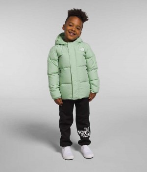 Doudoune The North Face North Encapuchonné Garcon Menthe | PARIS LFHRU