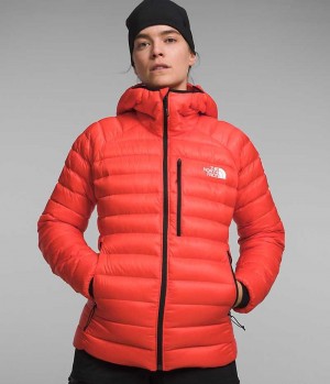 Doudoune The North Face Summit Series Breithorn Hoodie Femme Orange | PARIS YKGFZ