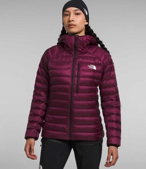 Doudoune The North Face Summit Series Breithorn Hoodie Femme Bordeaux | FRANCE NZGCW