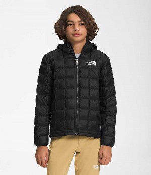 Doudoune The North Face ThermoBall™ Encapuchonné Garcon Noir | FR DRAUQ