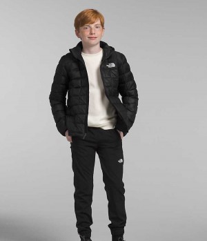 Doudoune The North Face ThermoBall™ Encapuchonné Garcon Noir | FR QZAFU