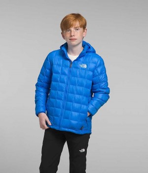 Doudoune The North Face ThermoBall™ Encapuchonné Garcon Bleu | FRANCE XUORM