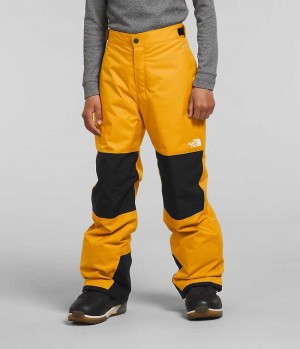 Pantalon Isolé The North Face Freedom Garcon Doré | FRANCE AVBWF