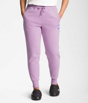 Pantalon Jogging The North Face Box NSE Femme Lavande | PARIS JHSXZ