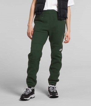 Pantalon The North Face Denali Femme Vert | FR SKGEF