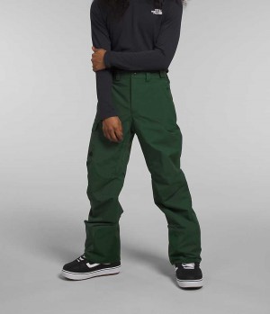Pantalon The North Face Freedom Homme Vert | FRANCE XHNSA