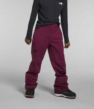 Pantalon The North Face Freedom Stretch Homme Fushia | FRANCE MVKRI