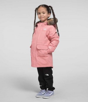 Parka The North Face Arctic Fille Rose | PARIS WGPNC