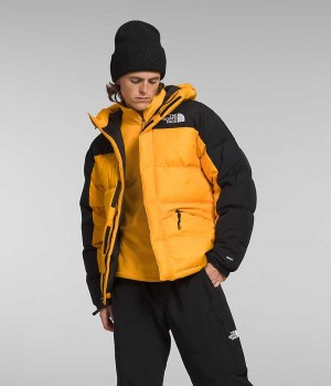 Parka The North Face HMLYN Down Homme Doré Noir | FR STUBD