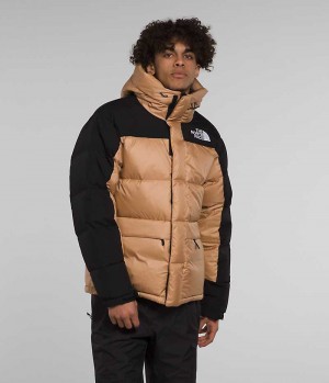 Parka The North Face HMLYN Down Homme Kaki Noir | FRANCE NZXDQ