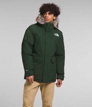 Parka The North Face McMurdo Homme Vert | PARIS FYZLV