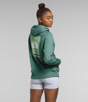 Sweat a Capuche The North Face Box NSE Pullover Femme Vert | FRANCE WLZTA