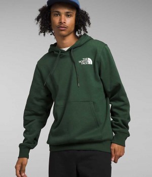 Sweat a Capuche The North Face Box NSE Pullover Homme Vert | FR RSLZE