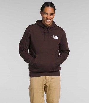 Sweat a Capuche The North Face Box NSE Pullover Homme Marron | FR DJMKV