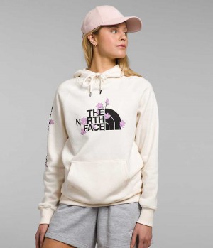 Sweat a Capuche The North Face Brand Proud Femme Blanche | FR EPVXA