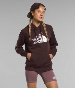 Sweat a Capuche The North Face Brand Proud Femme Marron | FRANCE QXSTJ