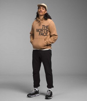Sweat a Capuche The North Face Brand Proud Homme Kaki | FR JATGD