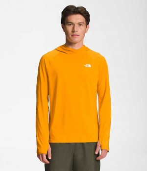Sweat a Capuche The North Face Class V D'eau Homme Doré | PARIS ZYRPO