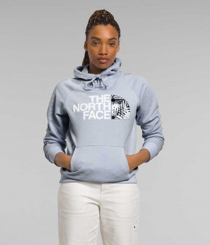 Sweat a Capuche The North Face Half Dome Pullover Femme Bleu | FRANCE ZXBTN