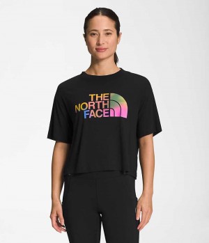 T-Shirt The North Face Corta Sleeve Half Dome Crop Femme Noir | FRANCE TXRQP