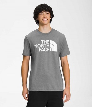 T-Shirt The North Face Corta Sleeve Half Dome Homme Grise | FR WUHGR