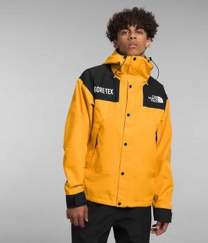 Vestes Isolées The North Face GTX Mountain Homme Doré Noir | PARIS WLFPN