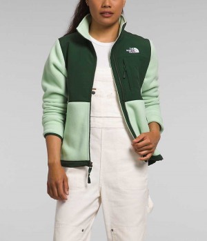 Vestes Polaires The North Face Denali Femme Vert | PARIS ATHZK