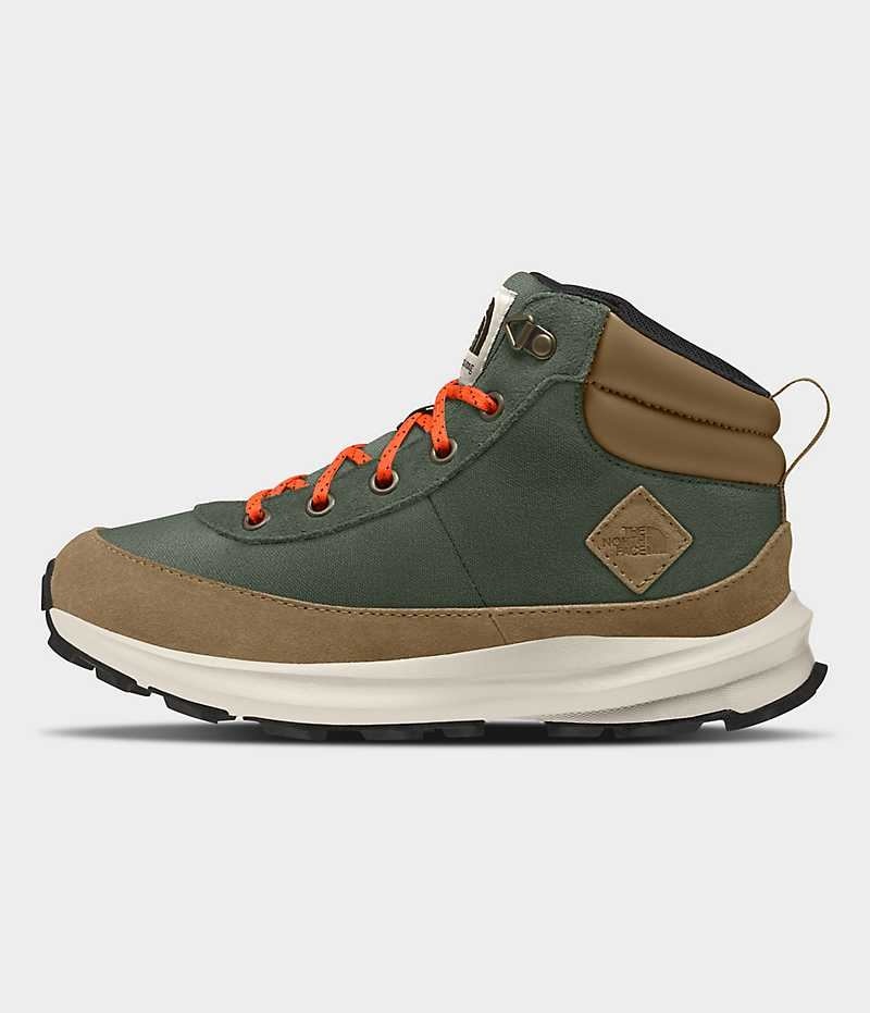 Basket The North Face Back-To-Berkeley IV Hikers Garcon Marron | FRANCE BFJOL