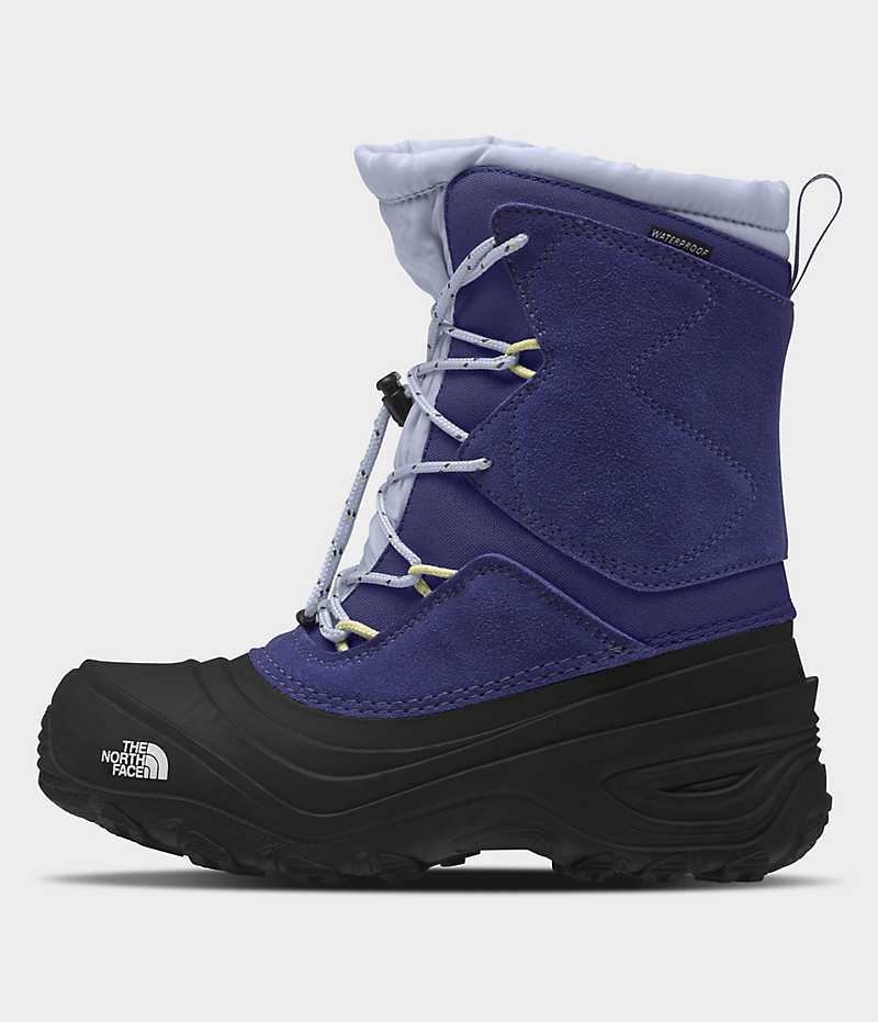 Botte Hiver The North Face Alpenglow V Imperméables Garcon Bleu Noir | PARIS DHEGC