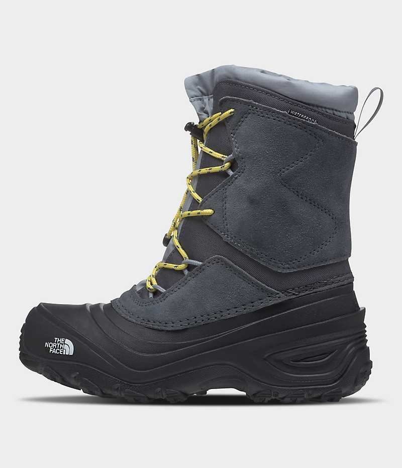 Botte Hiver The North Face Alpenglow V Imperméables Garcon Grise | FR AJBCV