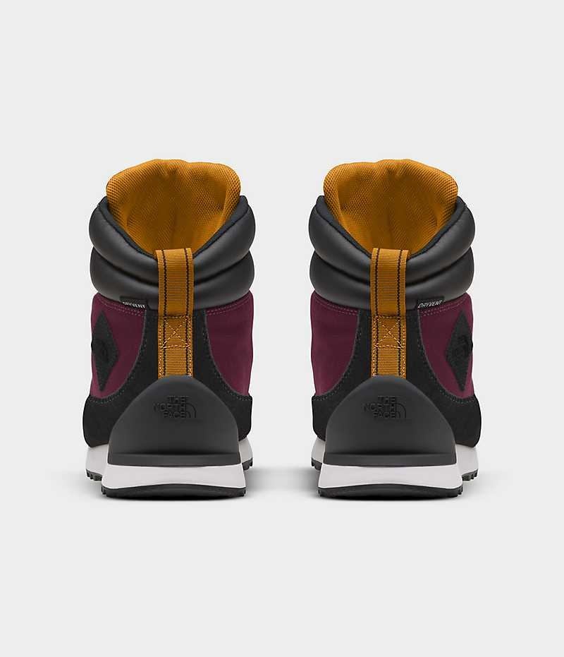 Botte Hiver The North Face Back-To-Berkeley IV Textile Imperméables Homme Fushia | FR AZBOK