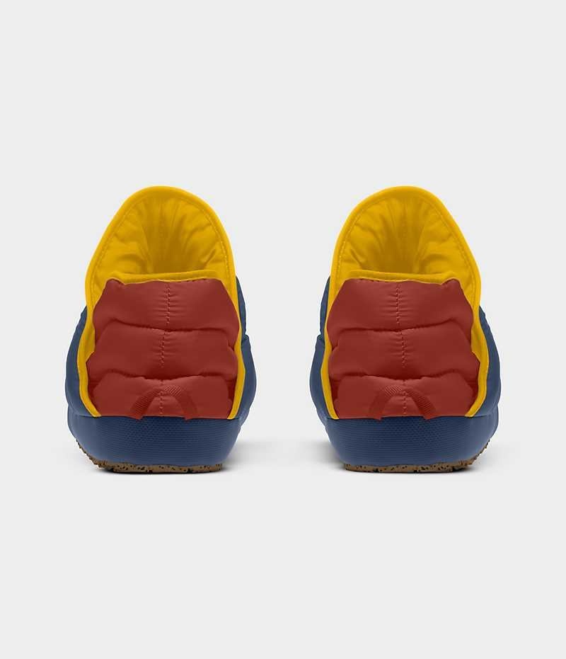 Botte Hiver The North Face ThermoBall™ Traction Homme Bleu Marron | FR LVAMP