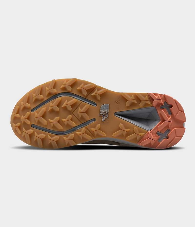 Botte Randonnée The North Face VECTIV Exploris 2 Mid FUTURELIGHT™ Cuir Femme Marron | FR WSHRC