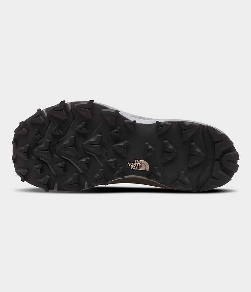 Botte Randonnée The North Face VECTIV Fastpack Insulated FUTURELIGHT™ Femme Marron | PARIS KDGSJ