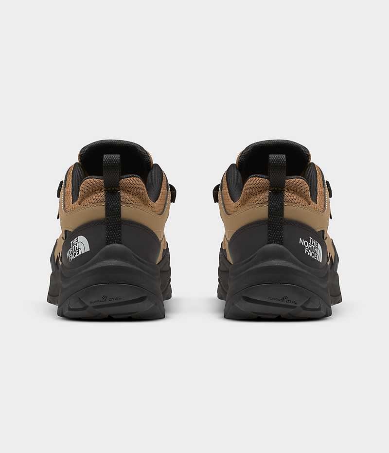 Chaussure de Randonnée The North Face Hedgehog 3 Imperméables Homme Marron Noir | PARIS GXDPF