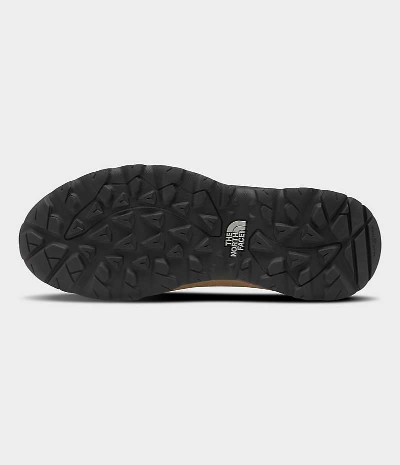 Chaussure de Randonnée The North Face Hedgehog 3 Imperméables Homme Marron Noir | PARIS GXDPF