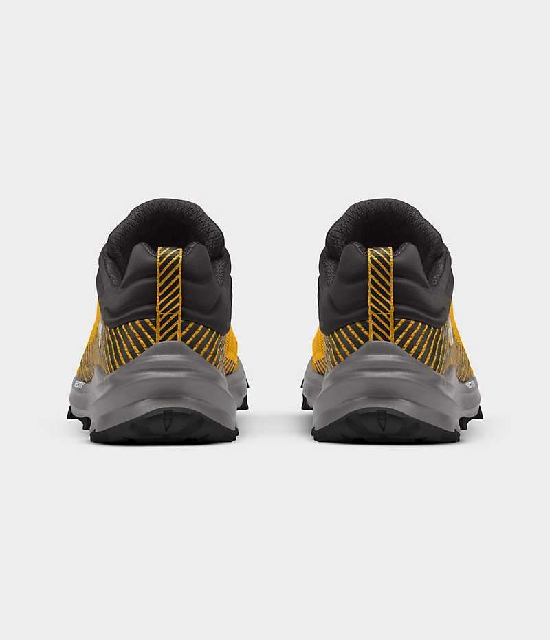Chaussure de Randonnée The North Face VECTIV Fastpack FUTURELIGHT™ Homme Doré | PARIS RFZUY