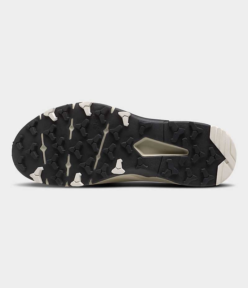 Chaussure de Randonnée The North Face VECTIV Taraval Homme Grise | FRANCE WLTFC