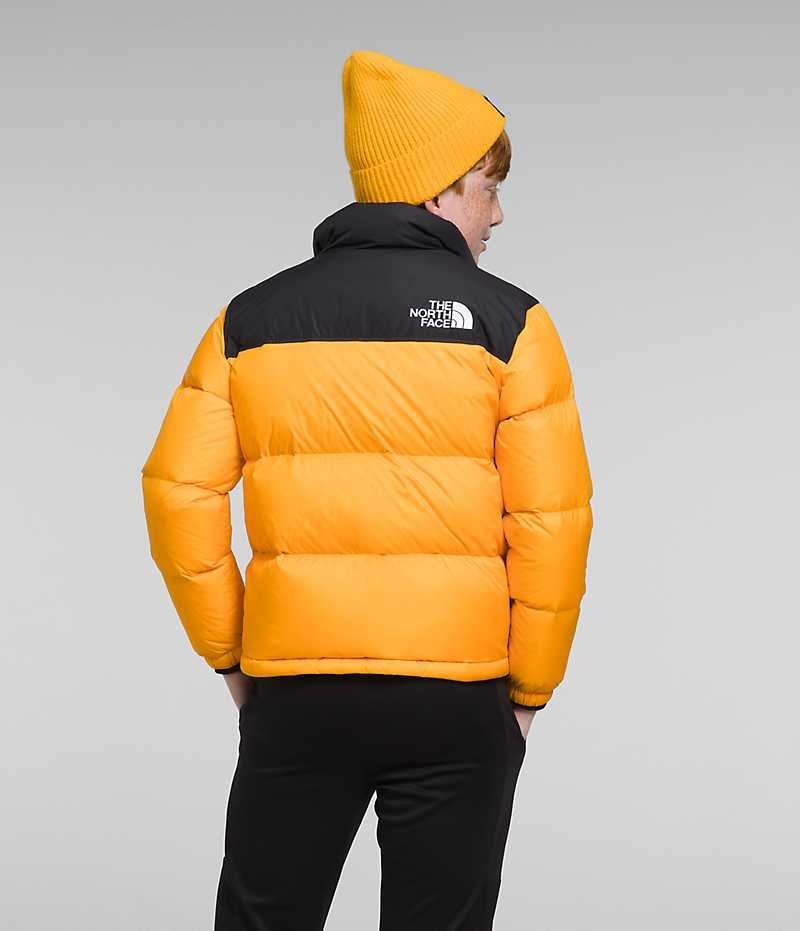 Doudoune The North Face 1996 Retro Nuptse Garcon Doré | FR RKAMB