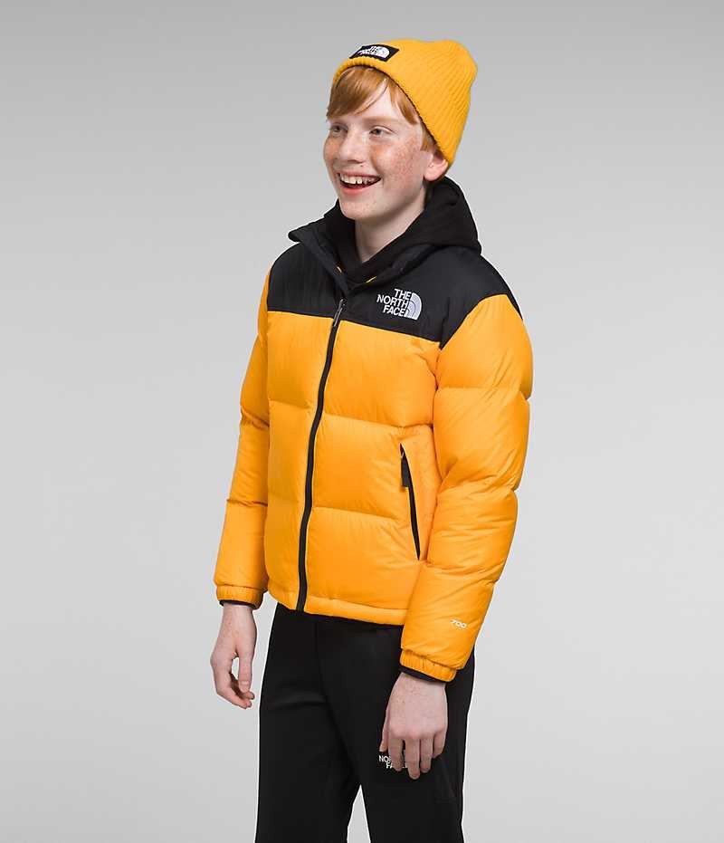 Doudoune The North Face 1996 Retro Nuptse Garcon Doré | FR RKAMB