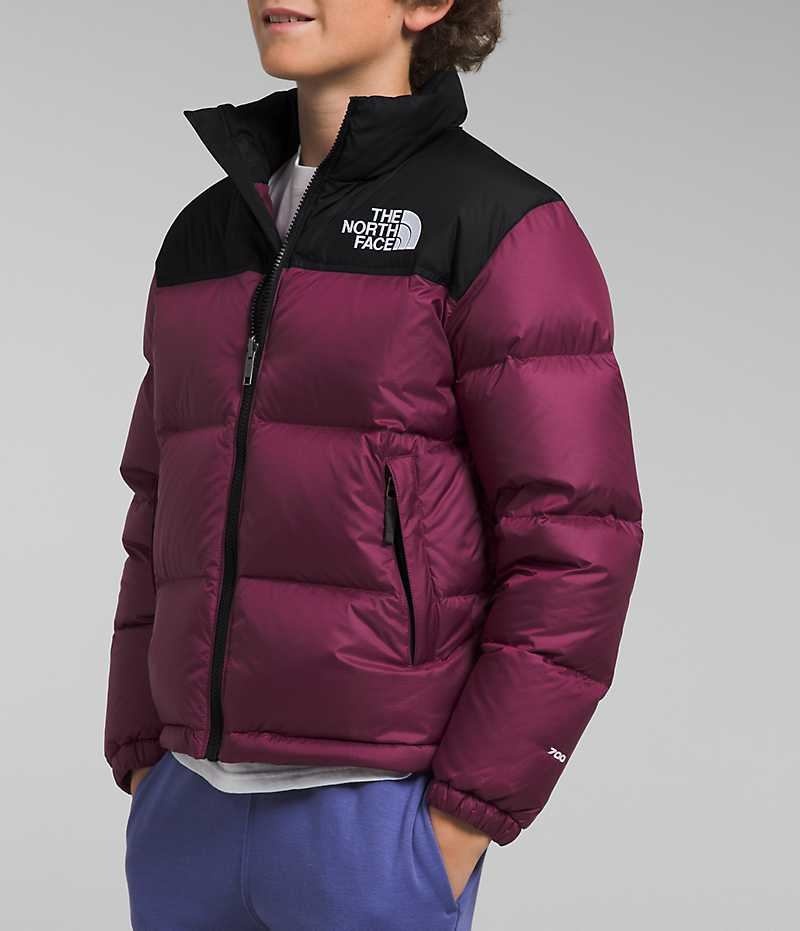 Doudoune The North Face 1996 Retro Nuptse Garcon Bordeaux | PARIS HRKEJ