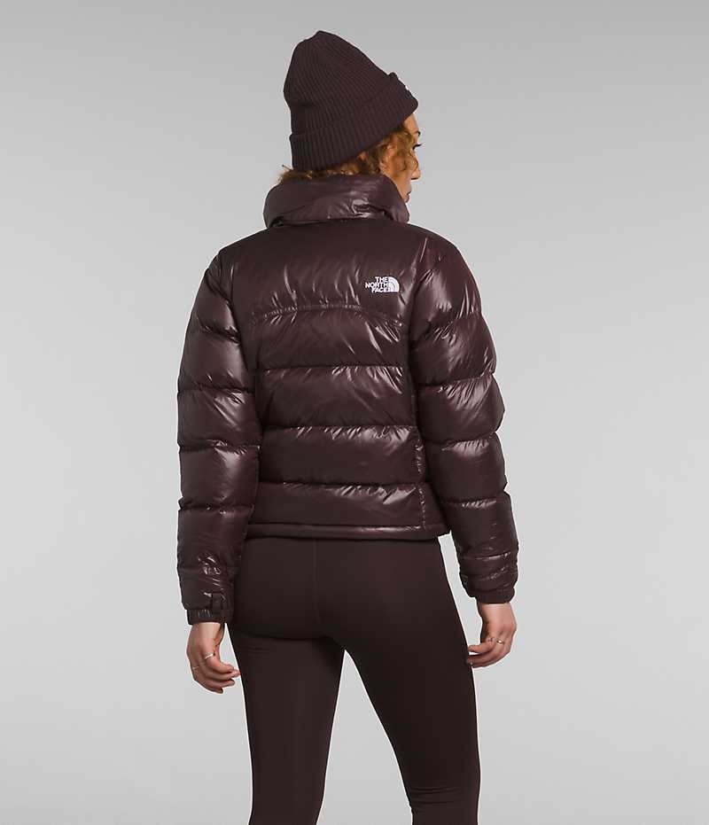 Doudoune The North Face 2000 Retro Nuptse Femme Marron | FRANCE AUZQG