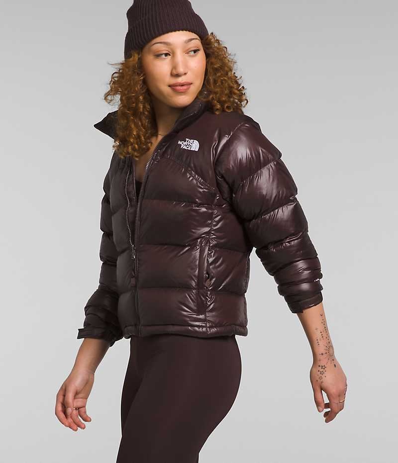 Doudoune The North Face 2000 Retro Nuptse Femme Marron | FRANCE AUZQG