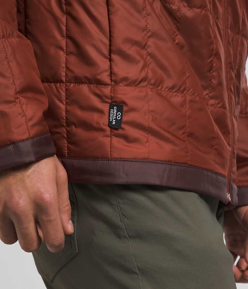 Doudoune The North Face Circaloft Homme Marron | FRANCE WOCJM