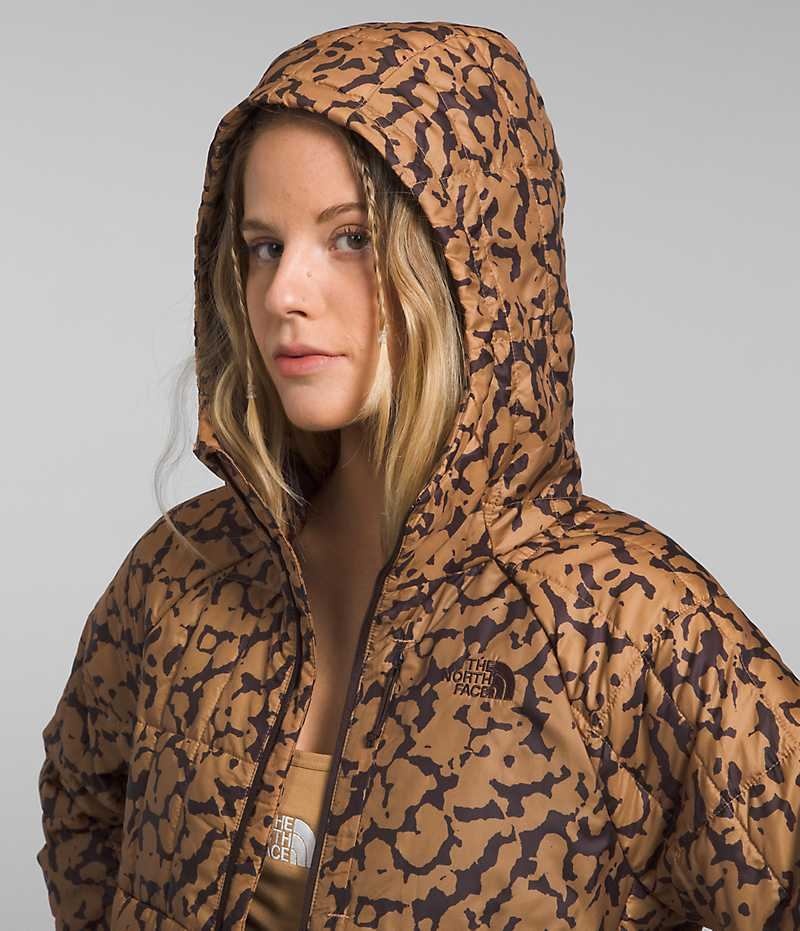 Doudoune The North Face Circaloft Hoodie Femme Marron | FR ABDQR